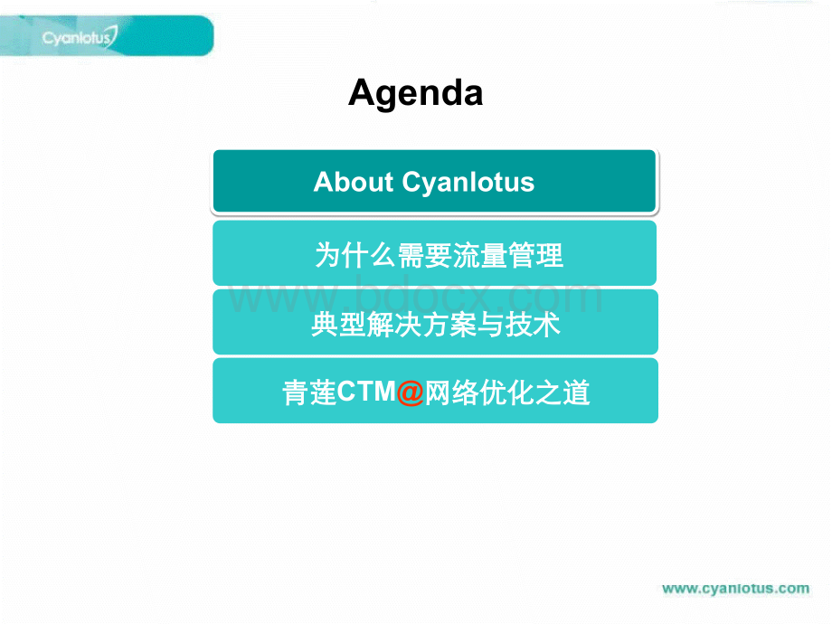 青莲流量管理系统CTM(通用)20110101.ppt_第2页