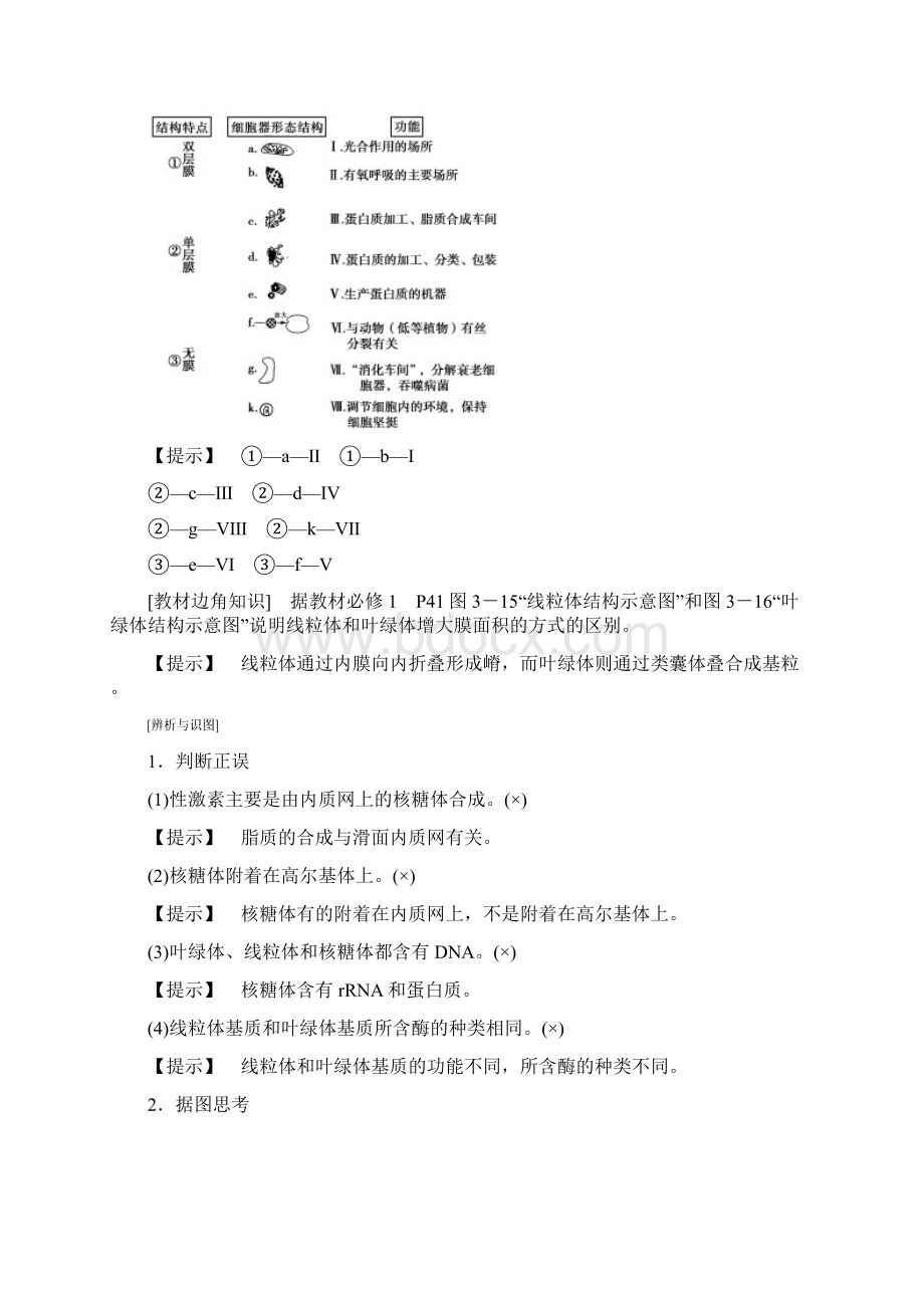 版高考生物一轮复习第2单元细胞的结构和功能第3讲细胞质细胞器和细胞的生物膜系统学案苏教版Word下载.docx_第2页