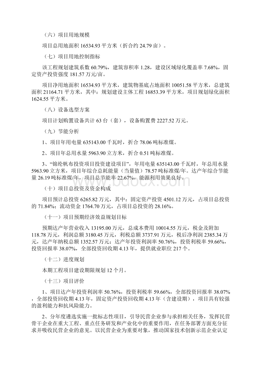 锦纶帆布投资项目立项申请Word格式文档下载.docx_第2页