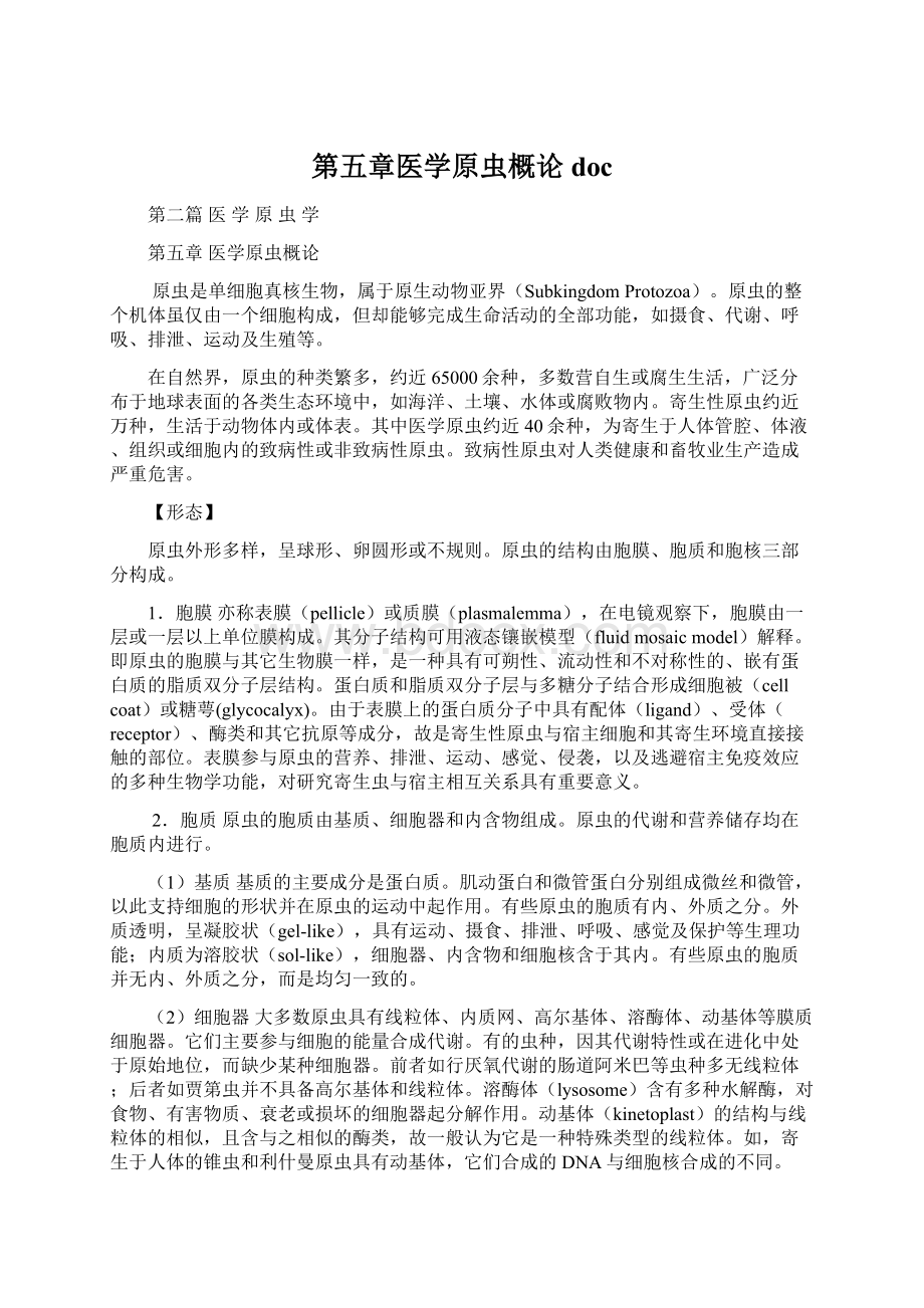 第五章医学原虫概论docWord文档下载推荐.docx_第1页