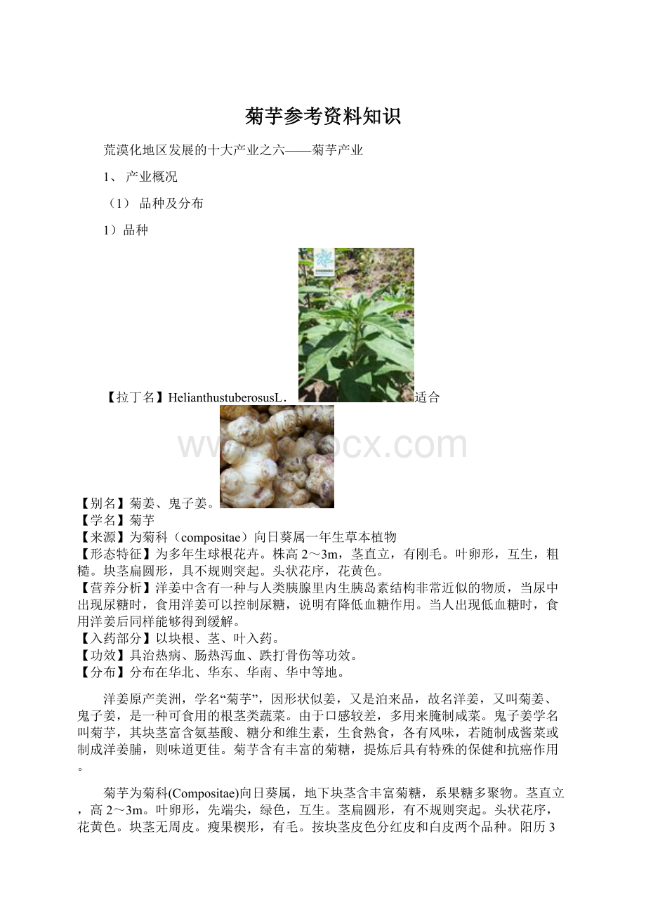 菊芋参考资料知识.docx