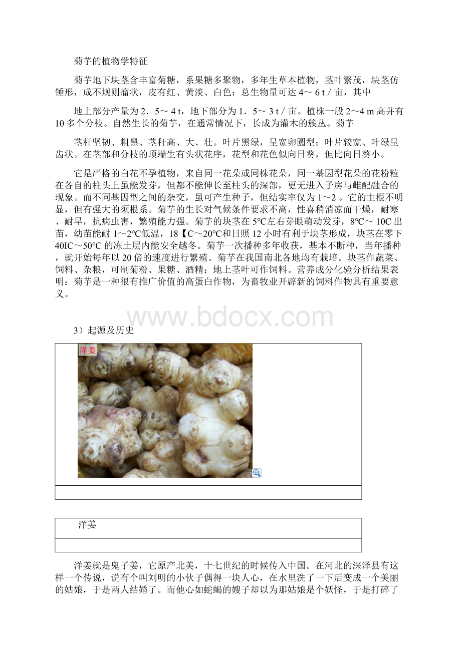 菊芋参考资料知识Word下载.docx_第3页