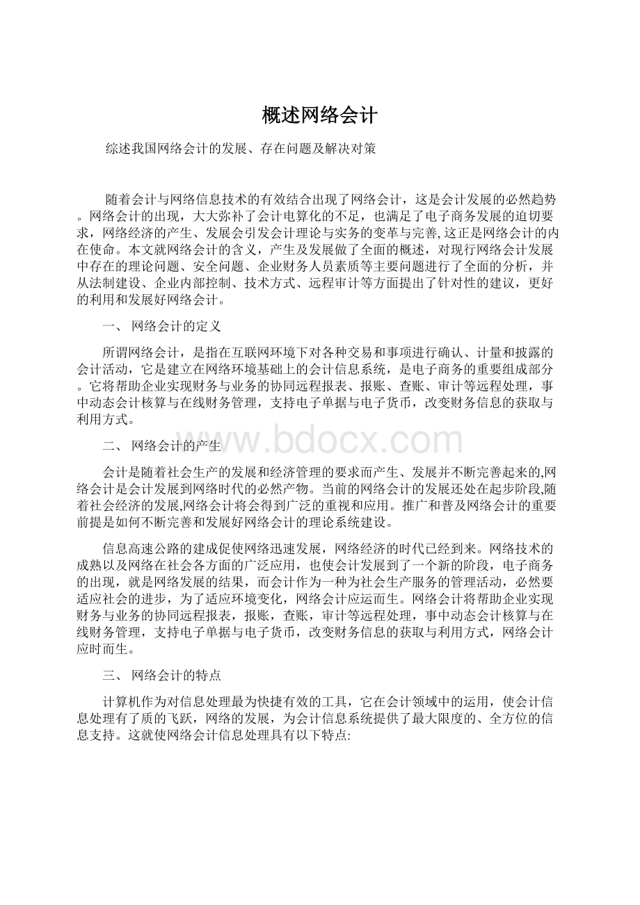 概述网络会计文档格式.docx