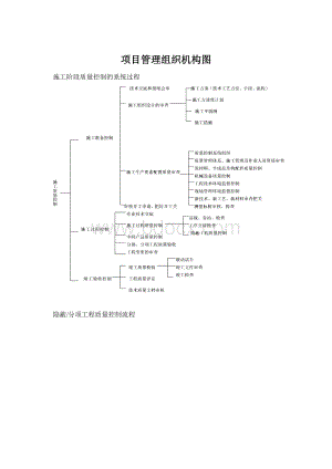 项目管理组织机构图.docx