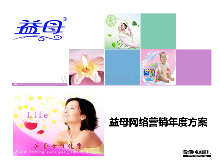 社会化媒体网络口碑营销2011年度方案(益母).ppt