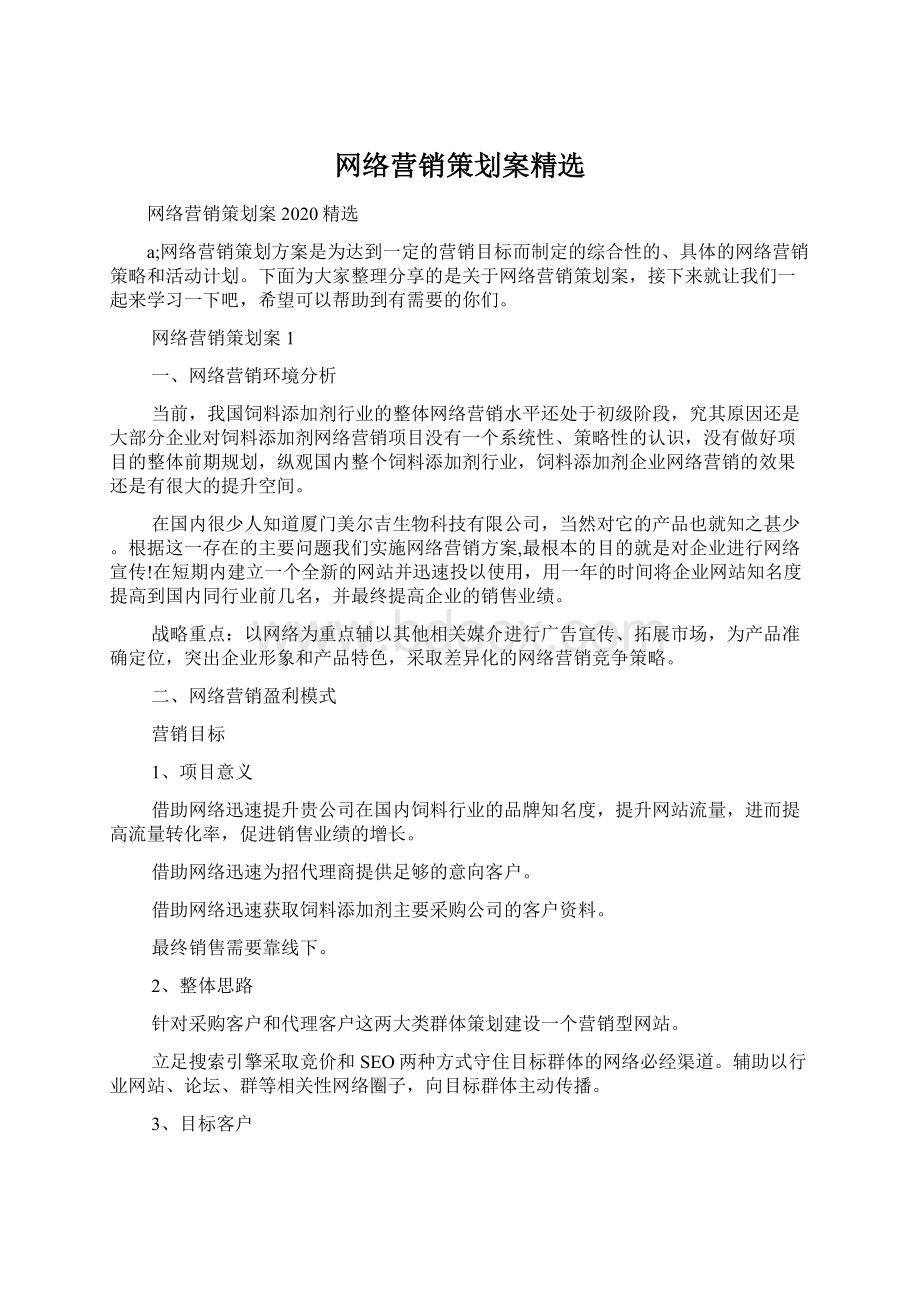 网络营销策划案精选文档格式.docx