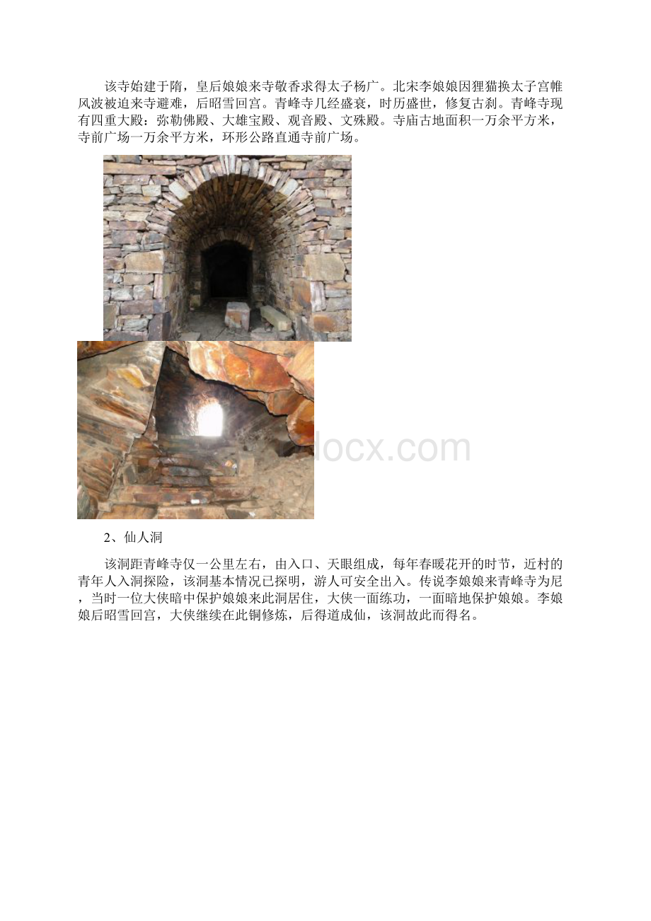 桃源村拟建绿色幸福村项目申请报告Word格式.docx_第3页