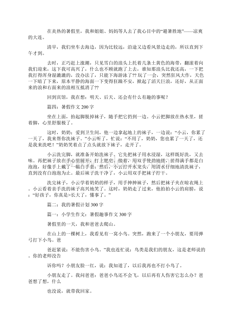 定制暑假计划作文0字Word下载.docx_第2页