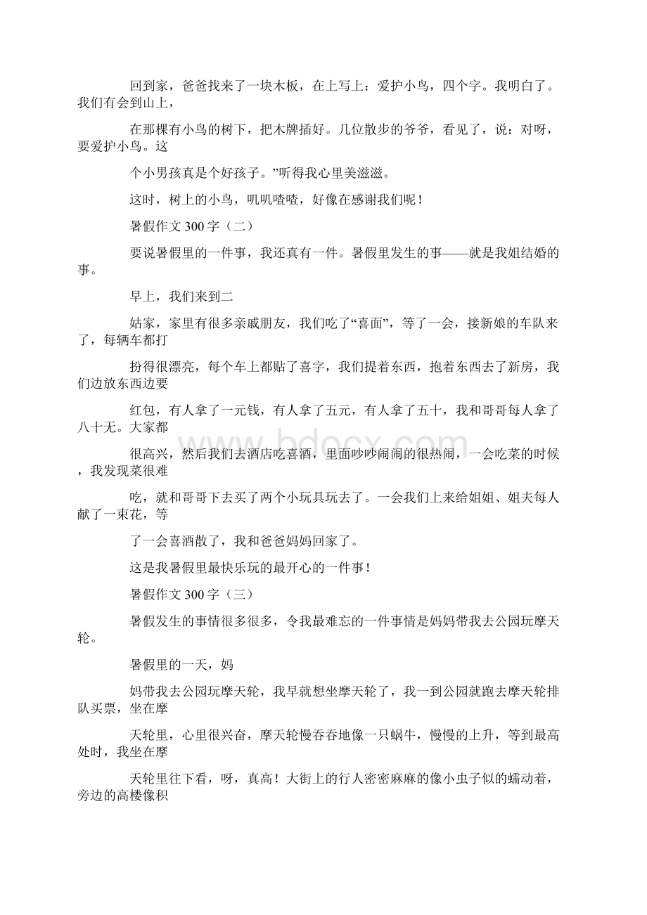 定制暑假计划作文0字Word下载.docx_第3页