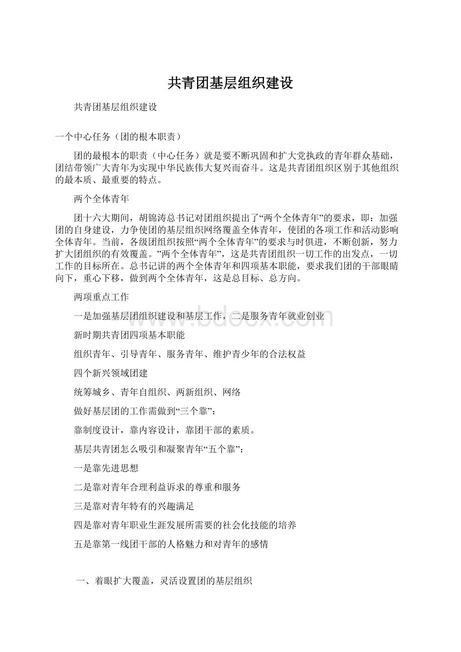 共青团基层组织建设.docx