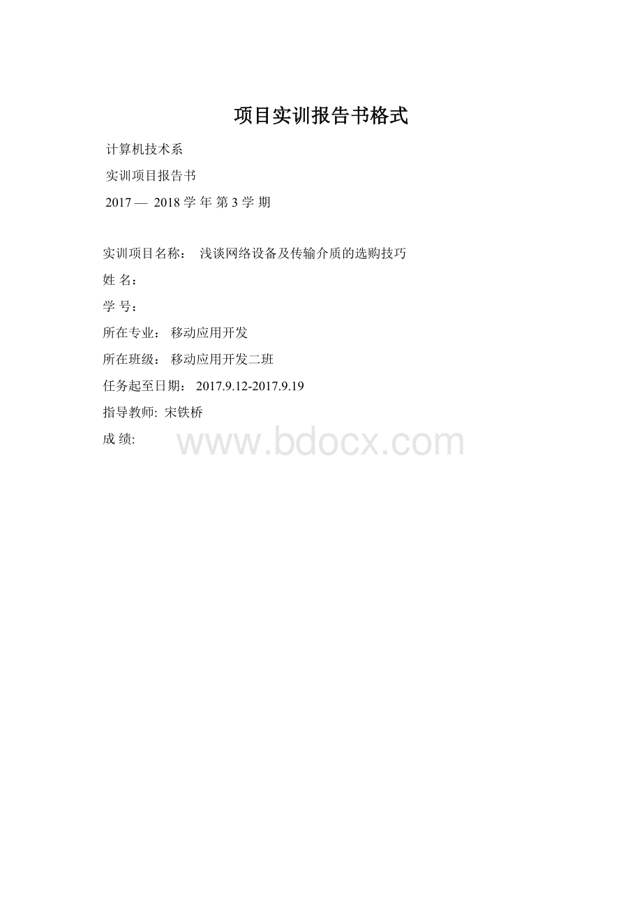 项目实训报告书格式.docx_第1页