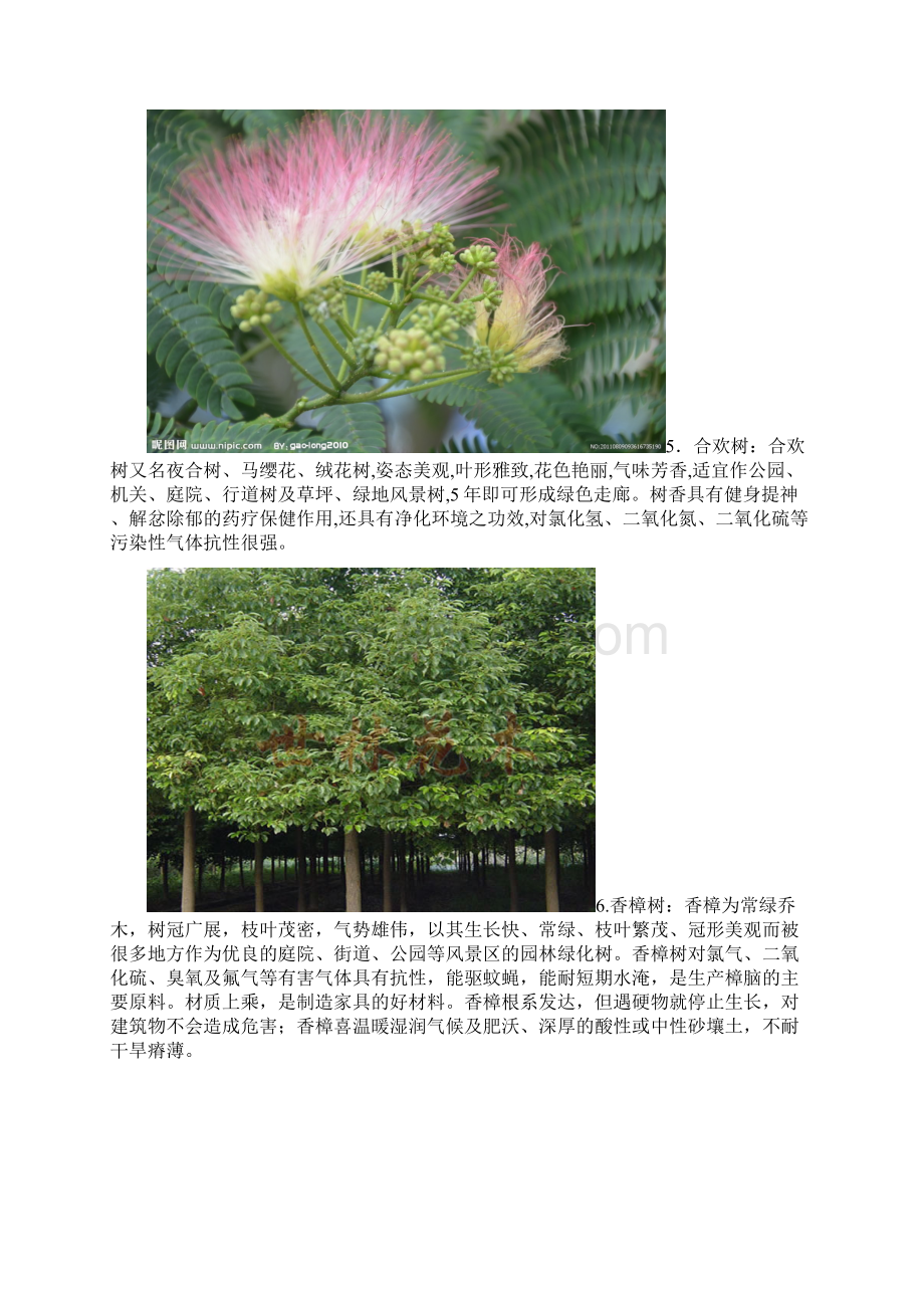 30种适合河南生长的植物教学教材.docx_第3页