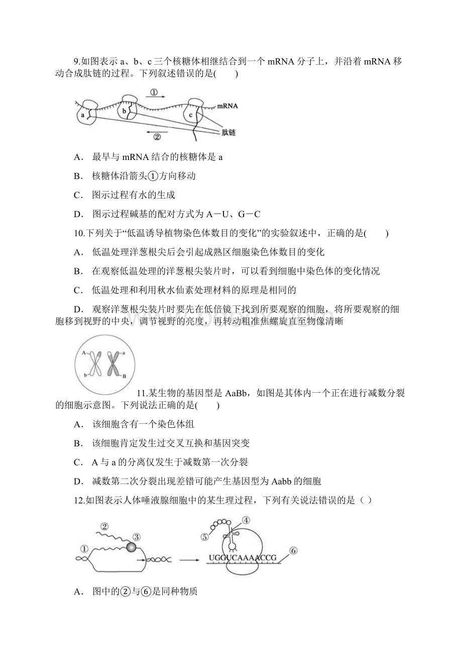 高中生物必修2《遗传和进化》全册综合测试题3含答案解析.docx_第3页