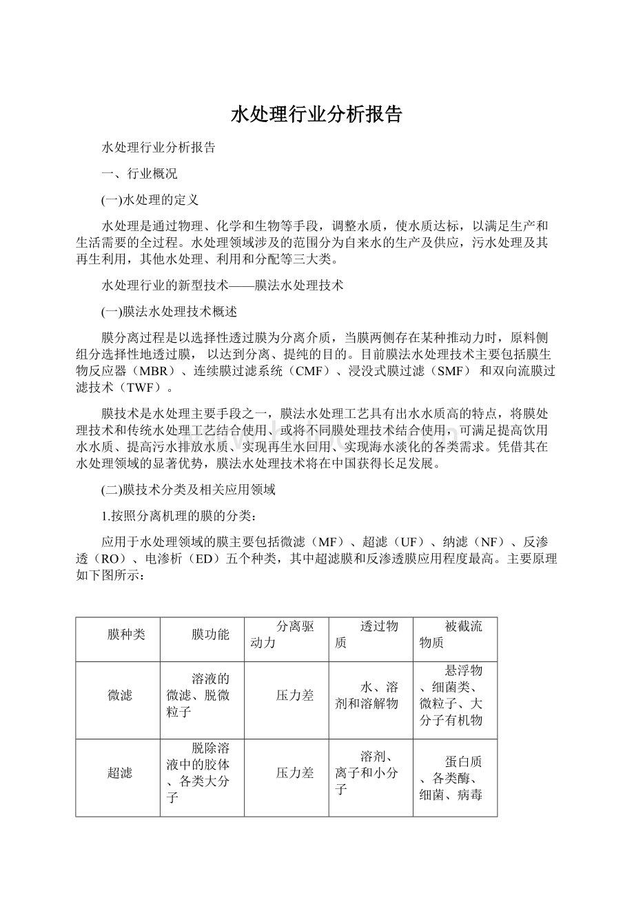 水处理行业分析报告文档格式.docx_第1页