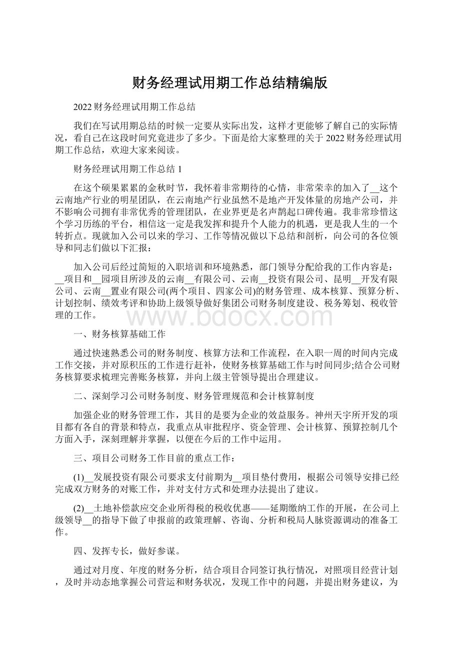 财务经理试用期工作总结精编版Word格式.docx