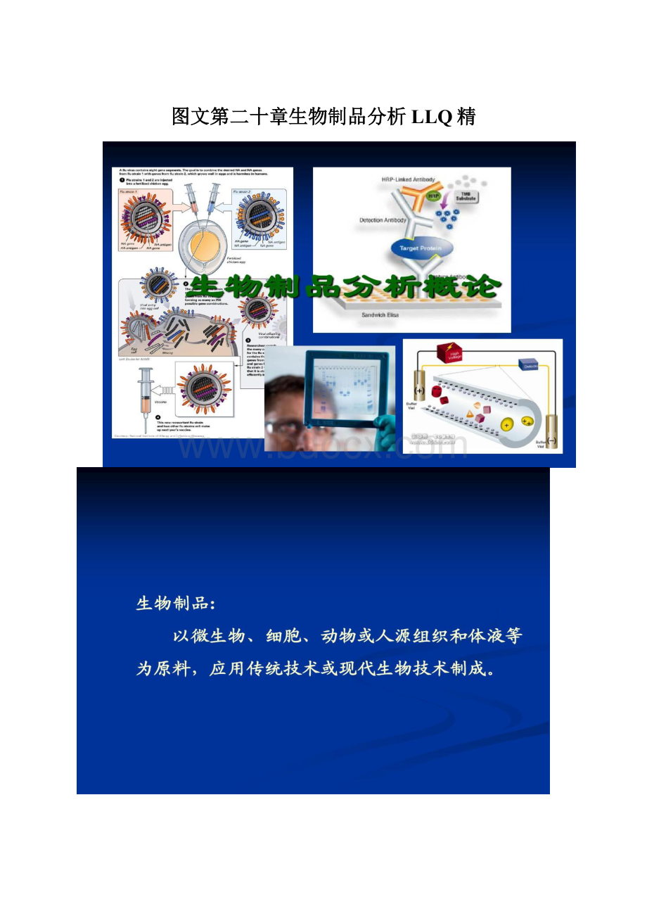 图文第二十章生物制品分析LLQ精.docx_第1页