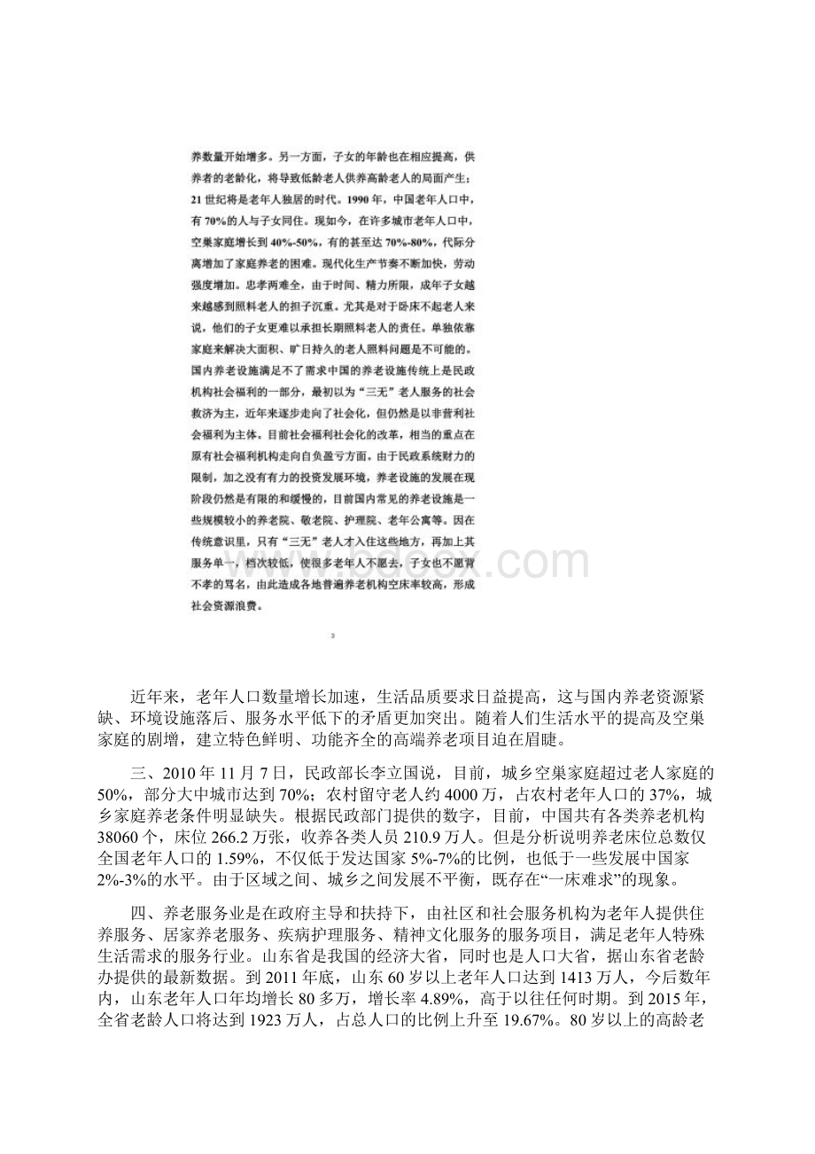 老年社区可行性分析Word文档下载推荐.docx_第2页