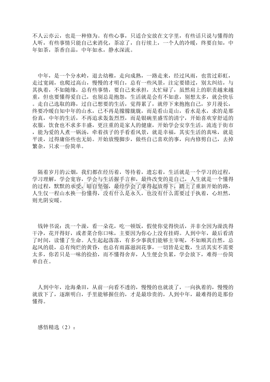 最新中年人生感悟文章文档格式.docx_第2页