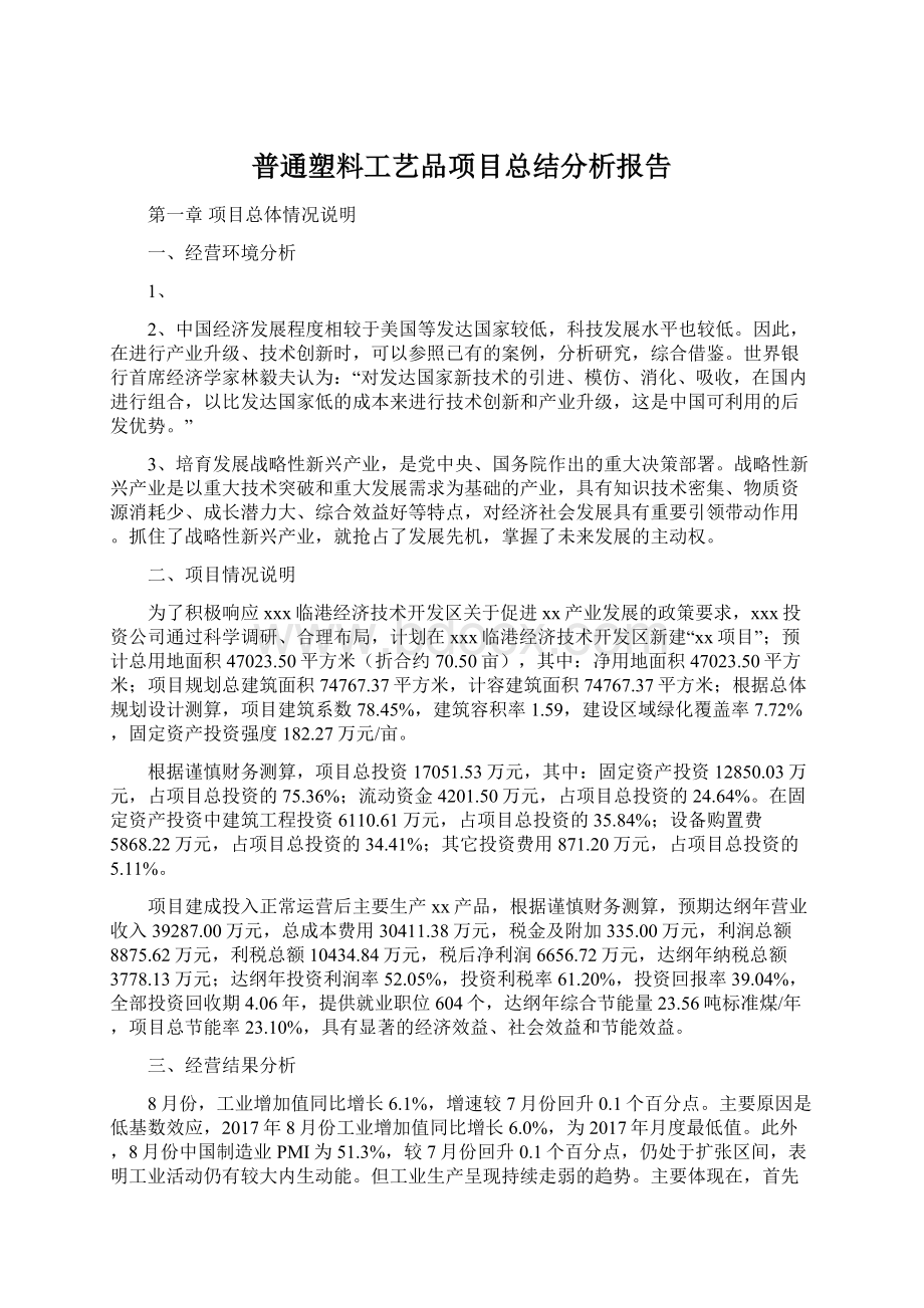 普通塑料工艺品项目总结分析报告文档格式.docx_第1页