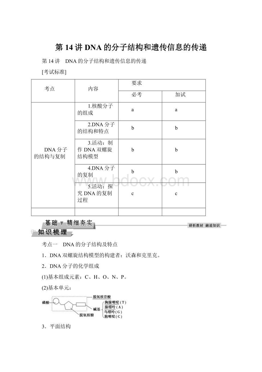 第14讲DNA的分子结构和遗传信息的传递.docx