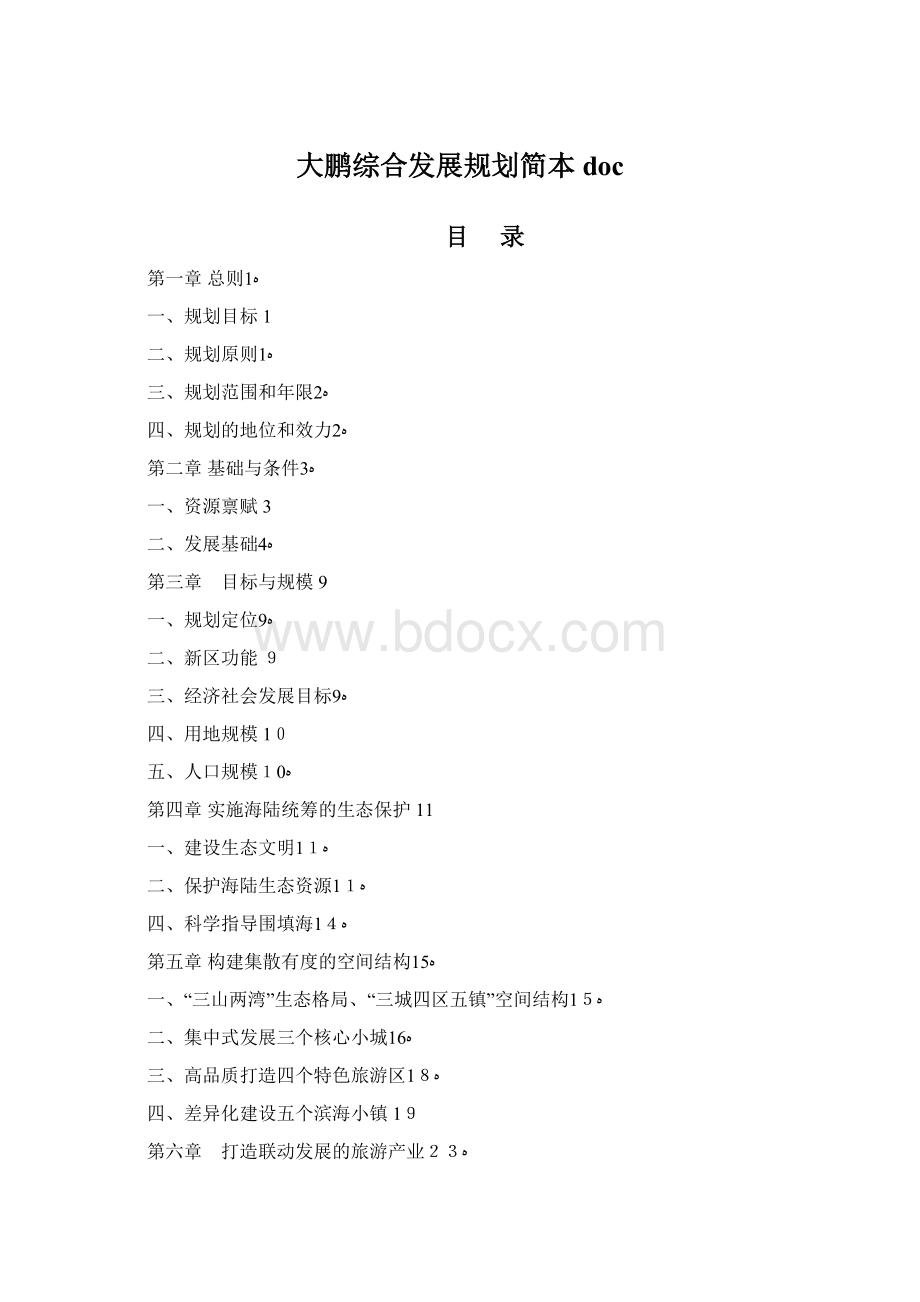 大鹏综合发展规划简本doc.docx_第1页