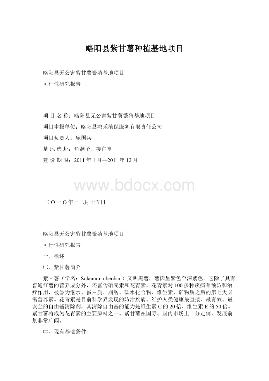 略阳县紫甘薯种植基地项目.docx_第1页