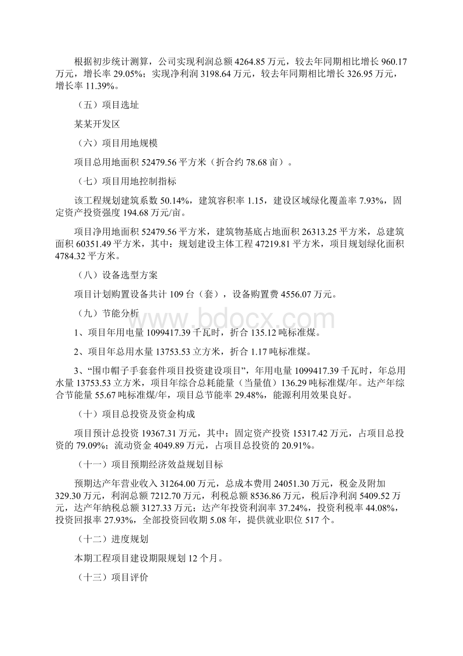 围巾帽子手套套件项目投资立项报告文档格式.docx_第2页