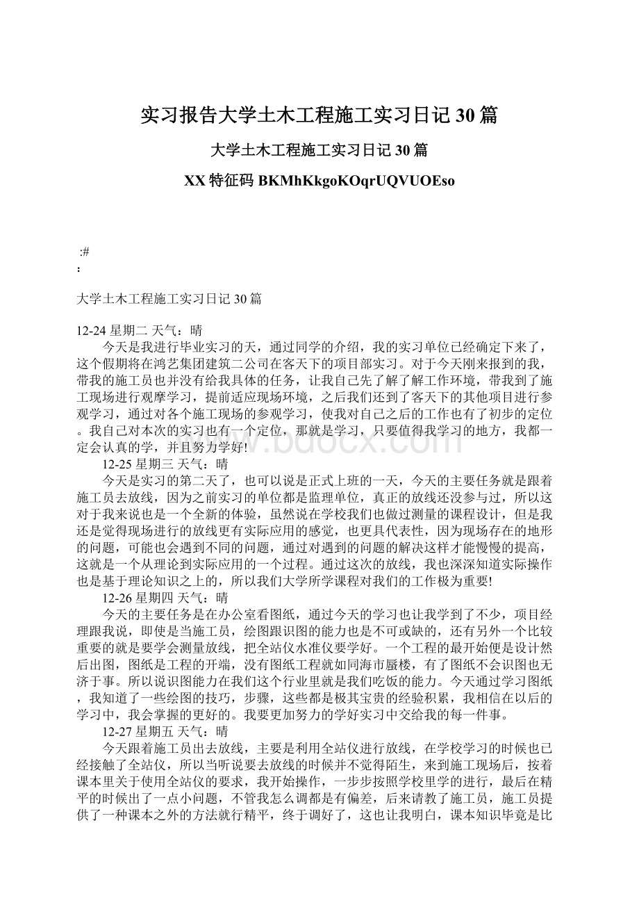 实习报告大学土木工程施工实习日记30篇Word格式文档下载.docx