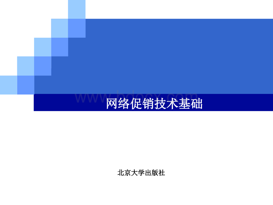 网络促销技术基础PPT资料.ppt_第1页