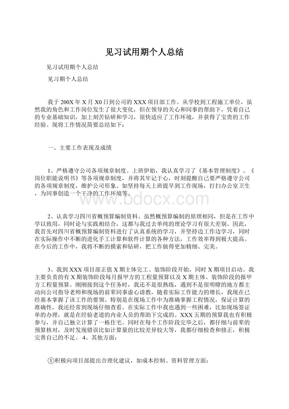 见习试用期个人总结Word文档下载推荐.docx