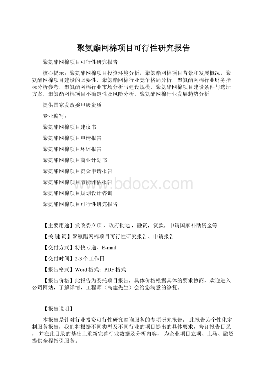 聚氨酯网棉项目可行性研究报告.docx_第1页