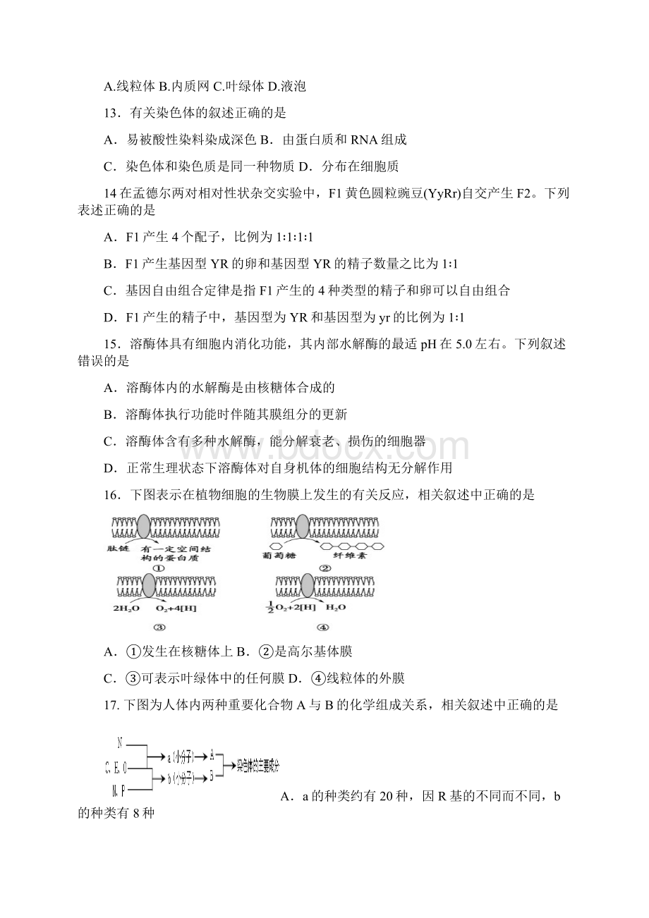 全国名校高三生物月考9Word文档下载推荐.docx_第3页