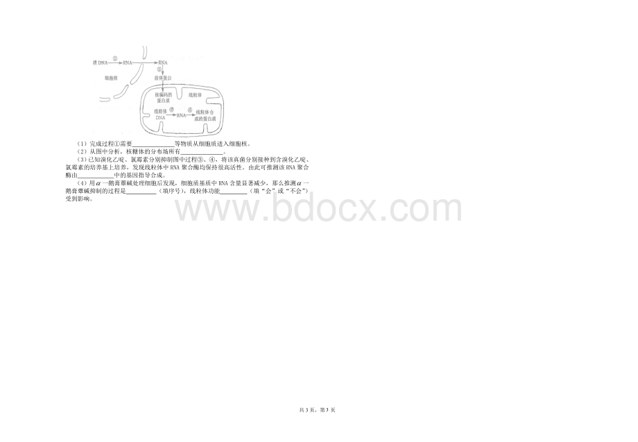 高一年级生物竞赛题_精品文档Word格式文档下载.doc_第3页