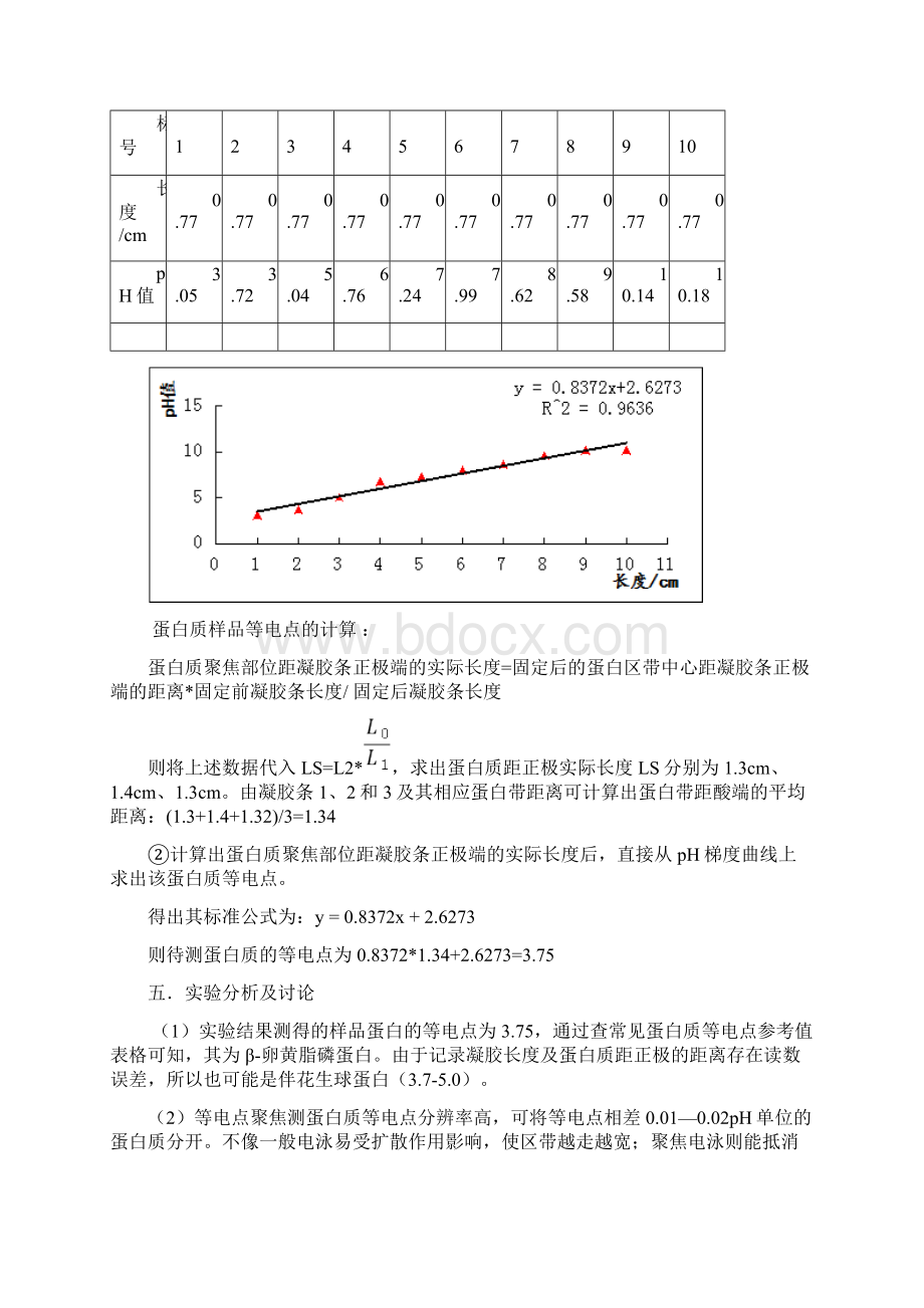 实验报告等电点聚焦测蛋白质等电点及实验报告偏振光学实验.docx_第3页