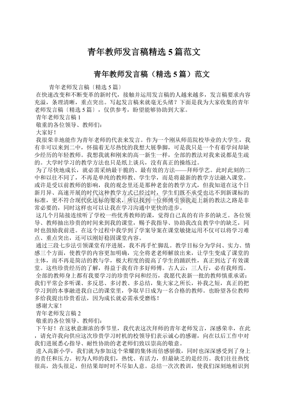 青年教师发言稿精选5篇范文Word格式文档下载.docx