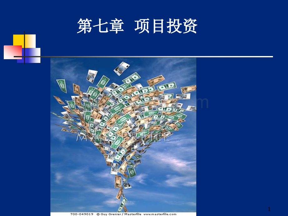 项目投资ppt.ppt_第1页