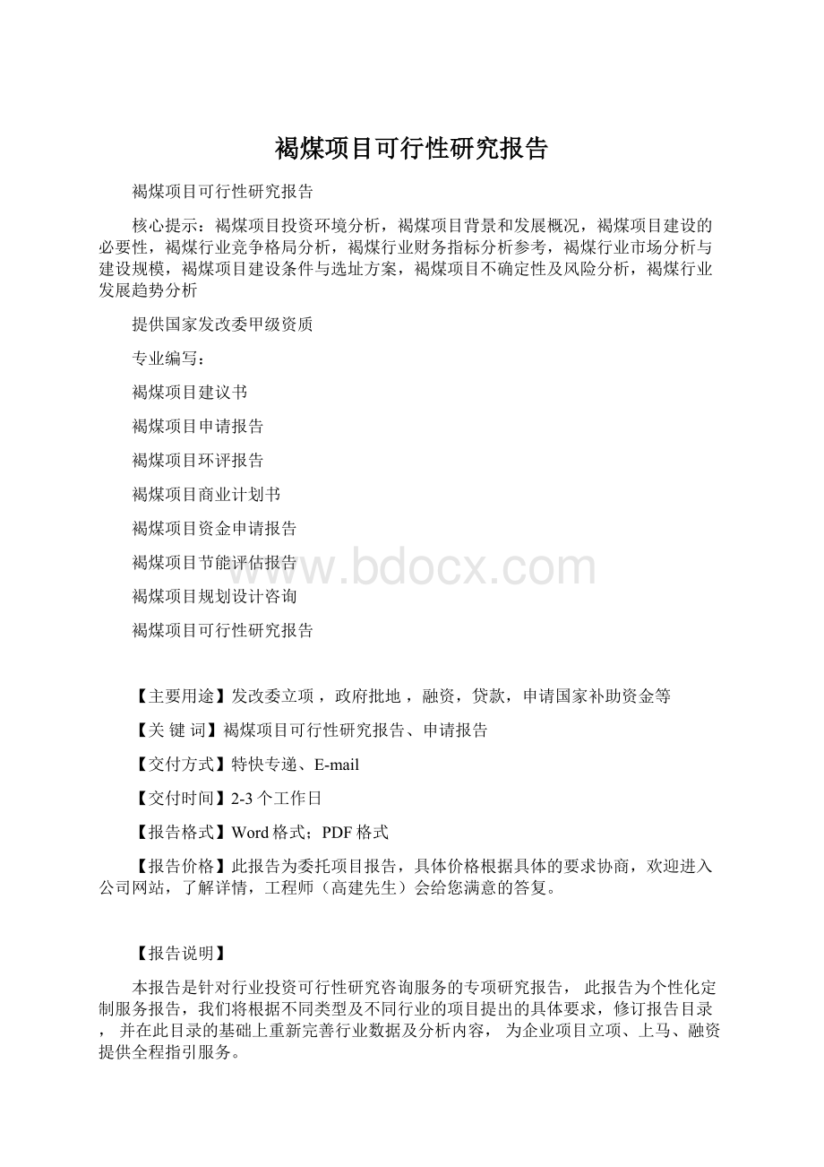 褐煤项目可行性研究报告Word格式文档下载.docx_第1页