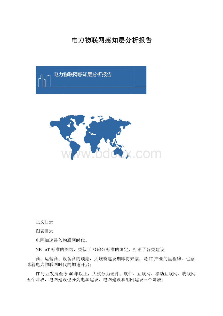 电力物联网感知层分析报告.docx_第1页