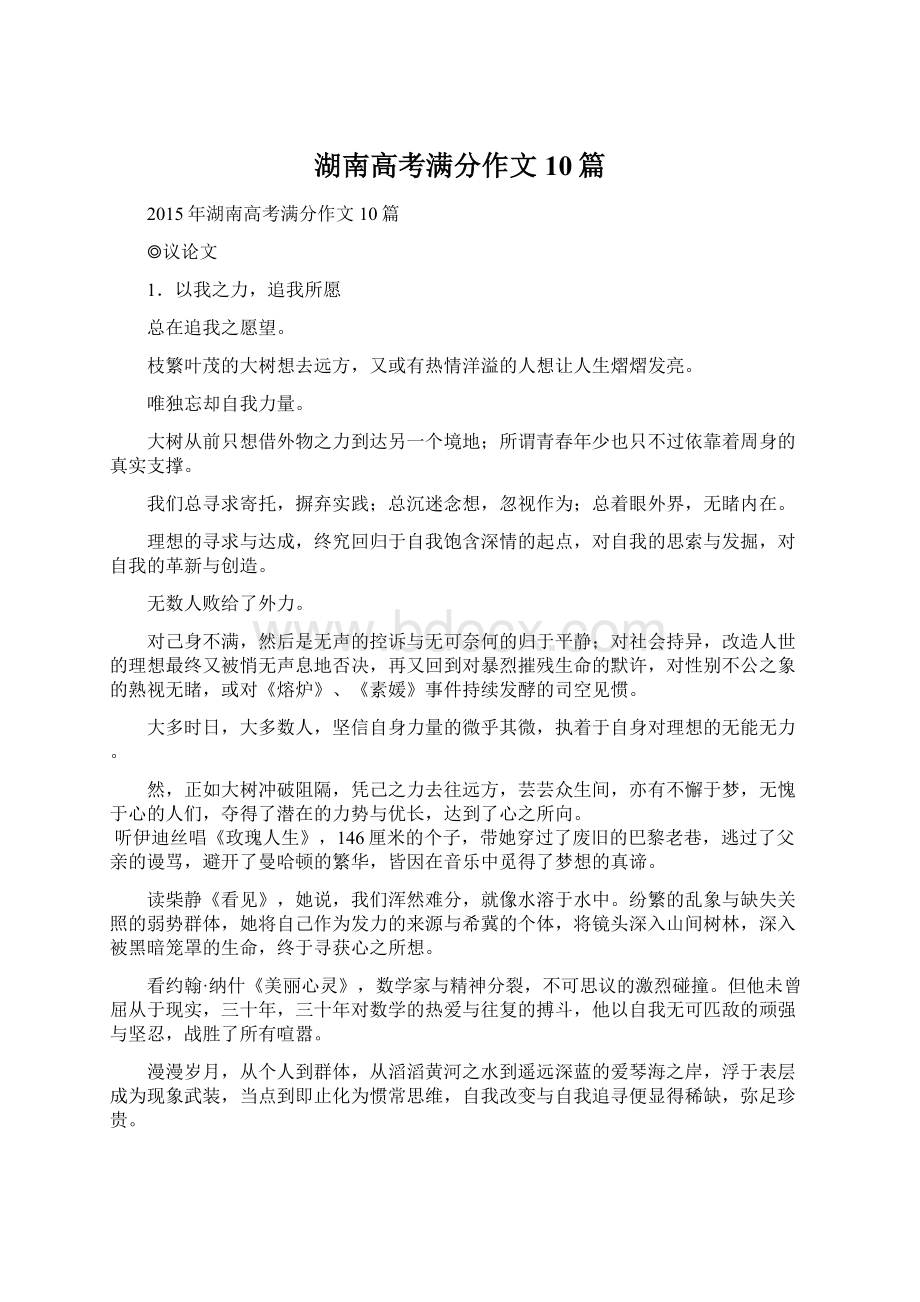 湖南高考满分作文10篇.docx