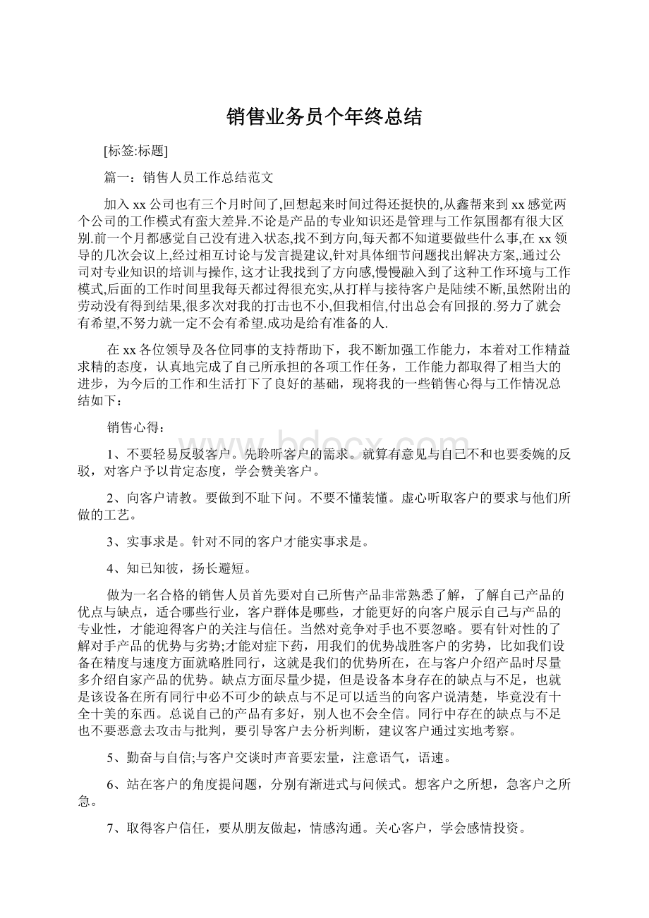 销售业务员个年终总结Word下载.docx