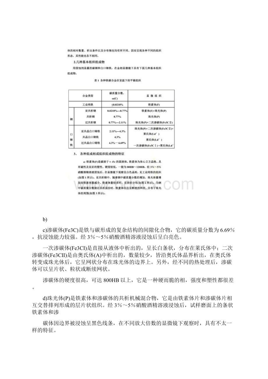 铁碳合金平衡组织观察精讲实验报告Word格式.docx_第2页