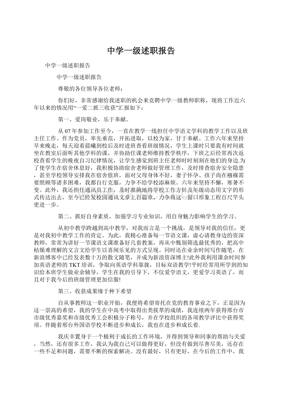 中学一级述职报告Word格式文档下载.docx