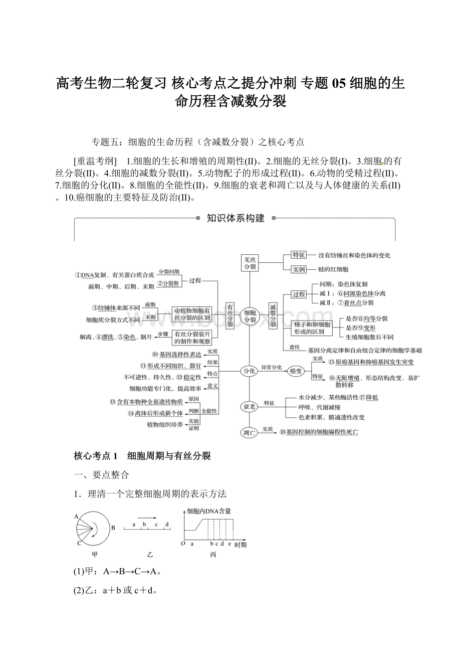 高考生物二轮复习 核心考点之提分冲刺 专题05 细胞的生命历程含减数分裂.docx