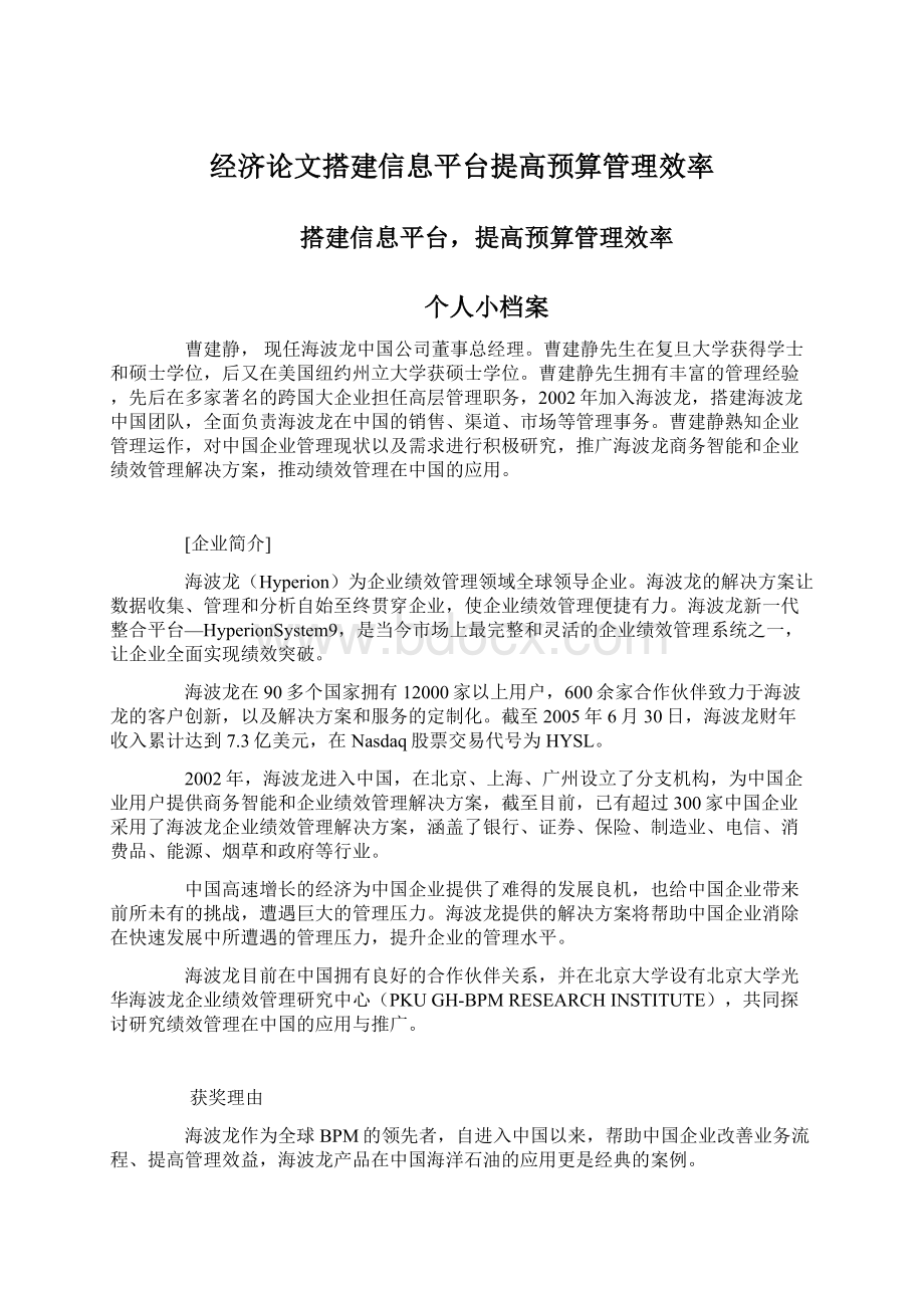 经济论文搭建信息平台提高预算管理效率.docx