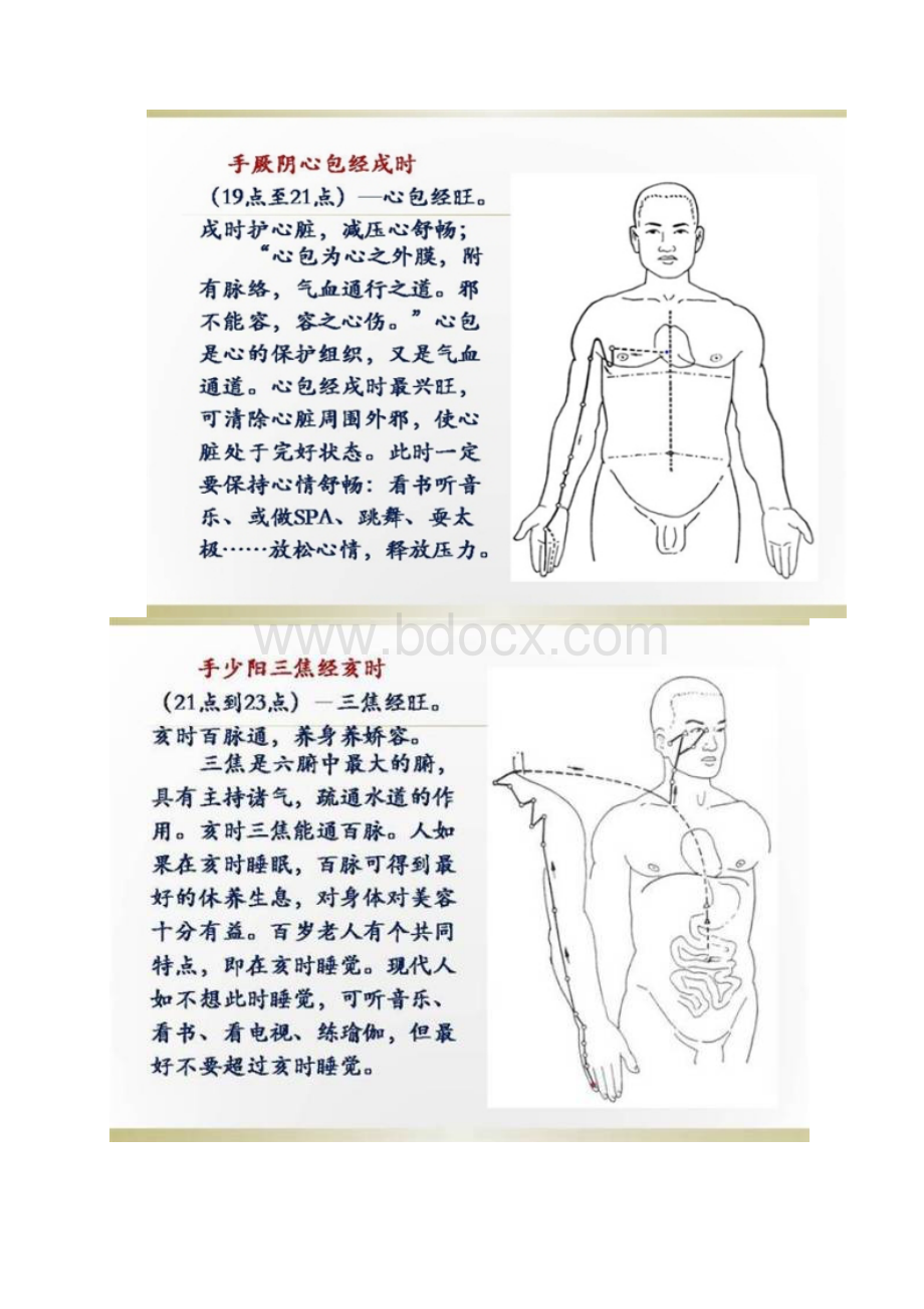 全身经络图专业版.docx_第2页