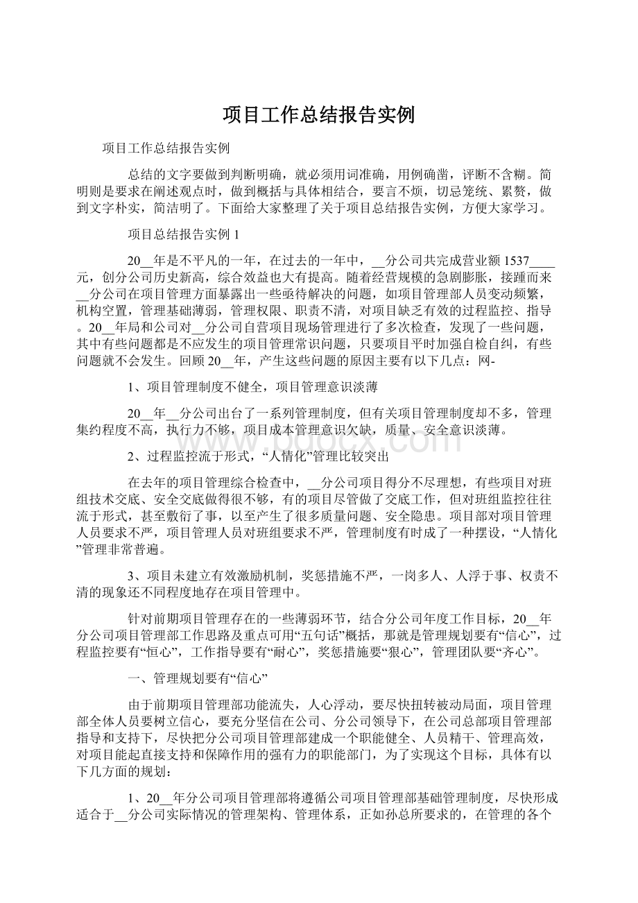 项目工作总结报告实例Word格式.docx