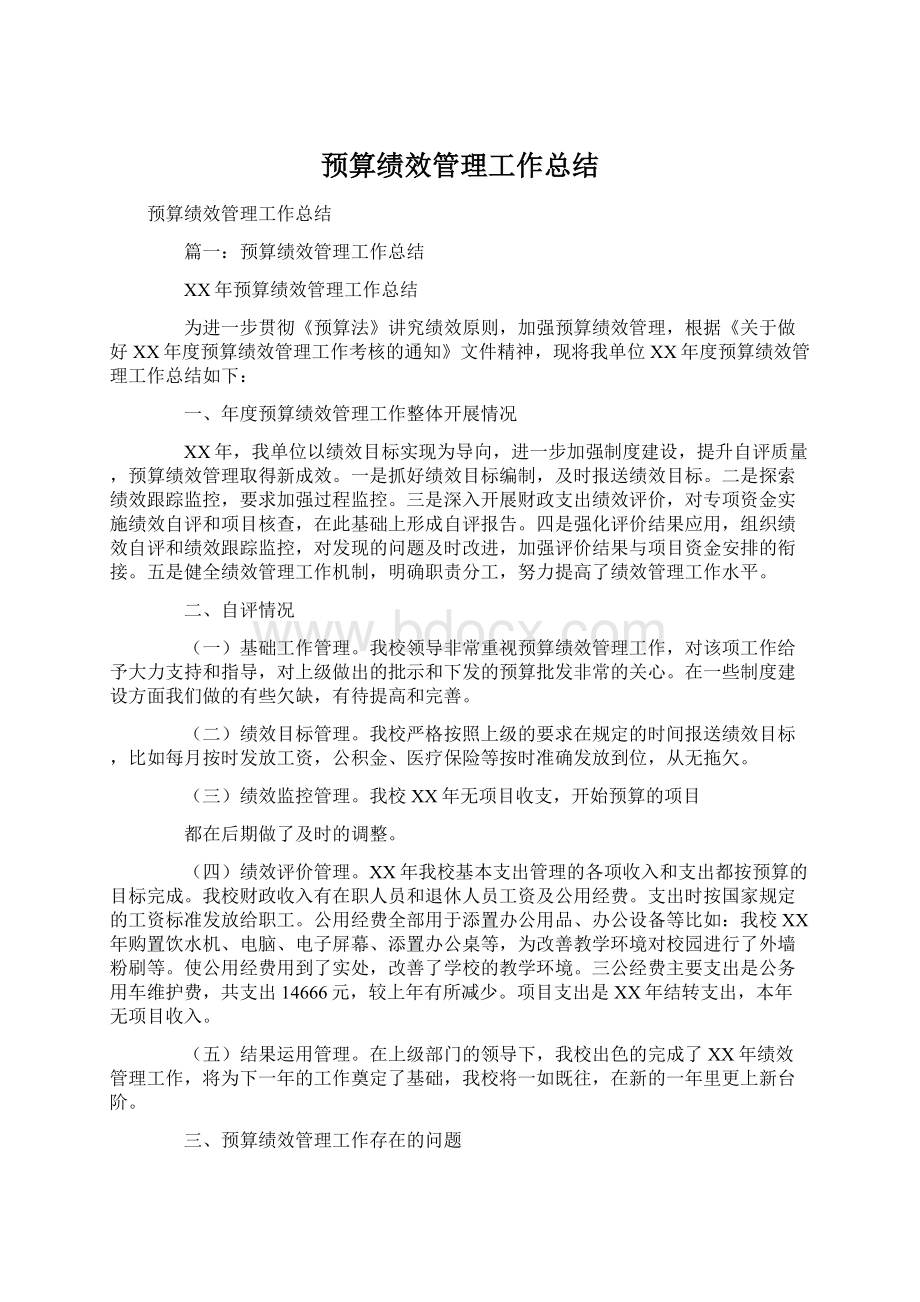 预算绩效管理工作总结文档格式.docx_第1页