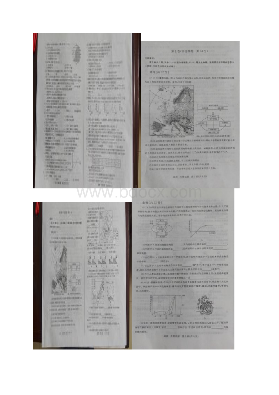 山东省枣庄市中考地理生物真题试题扫描版含答案Word下载.docx_第3页