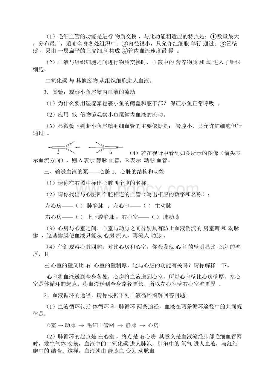 血液循环知识点和题目答案Word格式.docx_第3页