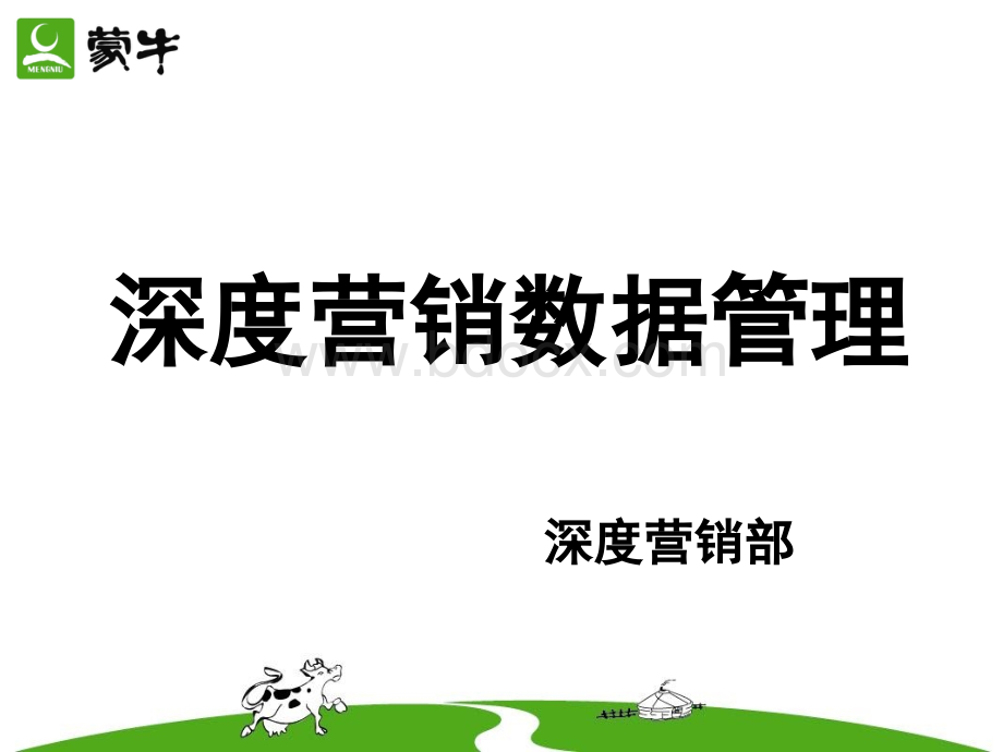 深度营销数据管理.ppt